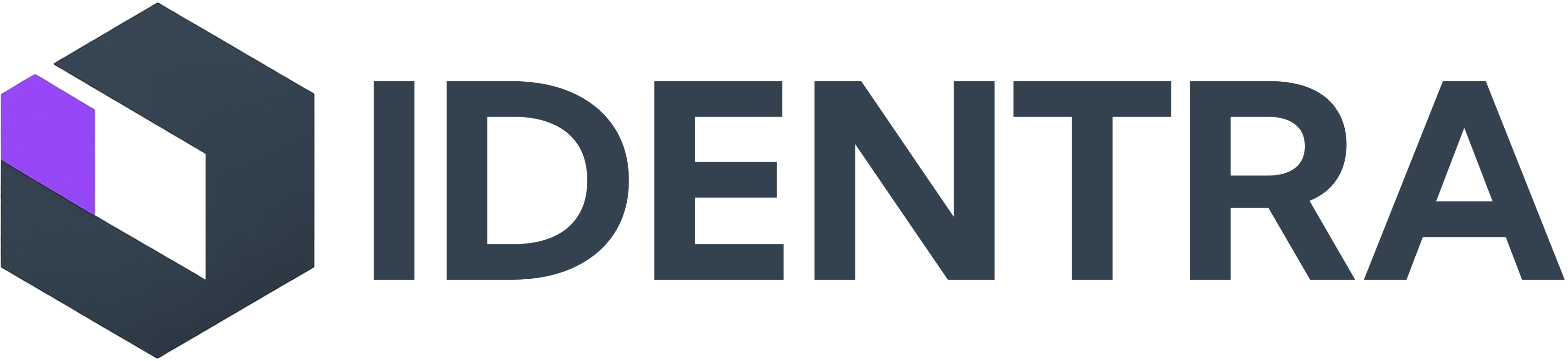 Identra light logo